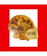Got Milk? Yummy chocolate chip cookie magnet~3in - $332.45 MXN