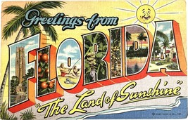 Greetings from Florida, vintage postcard 1947 - £9.70 GBP