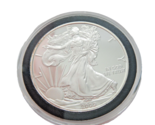 2009 DC Proof Overstrike 1oz Mint State Silver Eagle $1 Daniel Carr - £311.39 GBP