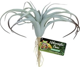 Zoo Med Naturalistic Flora Tillandsia Air Terrarium Plant - £11.15 GBP