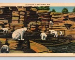 Polar Bears at Zoo Detroit Michigan MI UNP Unused Linen Postcard E15 - $2.92