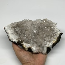 1242g, 8&quot;x5.2&quot;x1.2&quot;, Rare Manganese Cluster With Quartz Mineral Specimen,B10658 - £117.19 GBP