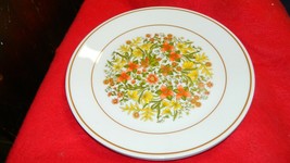 CORELLE INDIAN SUMMER DINNER PLATES 10.25 INCH x 4  FREE USA SHIPPING - $28.04