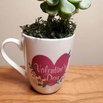 Valentines Mug with Succulent, Valentines Day Decor, mug garden gift image 2