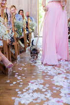 Blush Pink Chiffon Maxi Skirt Outfit Bridesmaid Plus Size Chiffon Skirt image 12