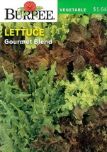 GIB Lettuce Gourmet Blend Vegetable Seeds Burpee  - £7.84 GBP