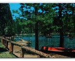 View of Lake PinecrestCalifornia CA Chrome Postcard S23 - $1.93