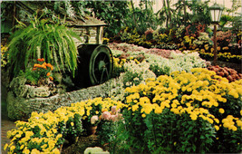 Chrysanthemum Show The Jewel Box in Forest Park St. Louis MO Postcard PC410 - £3.98 GBP