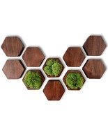 Hexagon Wall Decor Bundle- 10pcs with Moss Accents for Modern art, Handmade Gift - $98.00