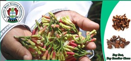 Organic Cloves from Zanzibar 2024 Season - £6.36 GBP+