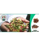 Organic Cloves from Zanzibar 2024 Season - £6.28 GBP+