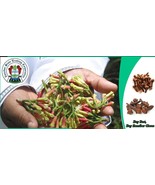 Organic Cloves from Zanzibar 2024 Season - $7.91+