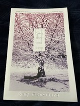 Lovely, Dark and Deep by Amy McNamara (2013, Trade Paperback), BRAND NEW/UNREAD! - £7.23 GBP