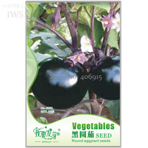 Black Round Eggplant Seeds Original Pack 30 seeds natural healthy organic vegeta - £5.47 GBP