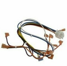 Hayward IHXWHC1930 Induced Draft Heater Replacement Wire Harness - $36.30