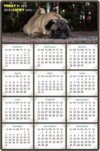 2022 Magnetic Calendar - Today is My Lucky Day - Dogs Themed 02 (5.25 x 8) - £7.90 GBP