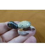 Y-TUR-SET-47 little white gray SEA TURTLE figurine stone gemstone SOAPST... - $11.78 CAD