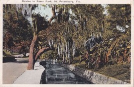 St. Petersburg Florida FL Ravine in Roser Park Spanish Moss 1924 Postcard D52 - £2.39 GBP