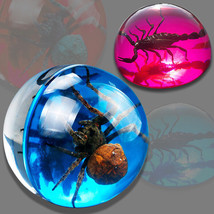 Real Insect Specimen Transparent Resin Hemispherical Spider Scorpion Specimen - £34.56 GBP
