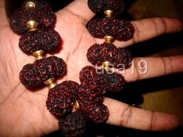 TRIBHAGI INDRAJEET SIDDHA RUDRAKSHA MALA WITH 1 MUKHI RUDRAKSH ROSARY - £3,796.18 GBP