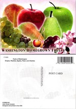 Washington Homegrown Fruits Grapes Peaches Apples Pears Cherry Vintage Postcard - £7.42 GBP