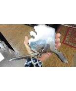 PIPE-18 Genuine Alaskan oil Pipeline state of Alaska cut out piece pipe ... - $4,588.63 MXN