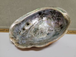 Large Red Abalone Shell 8.5” X 6.5&quot; Estate Sale find Vintage absolute be... - $97.45