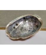 Large Red Abalone Shell 8.5” X 6.5&quot; Estate Sale find Vintage absolute be... - £76.84 GBP