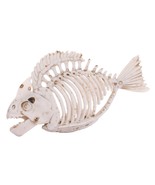 Plastic PREHISTORIC PIRANHA SKELETON Hinged Jaw Halloween Decoration Hor... - $138.82 MXN