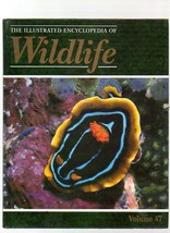 The Illustrated Encyclopedia Of Wildlife Volume 47 Invertebrates - £3.12 GBP