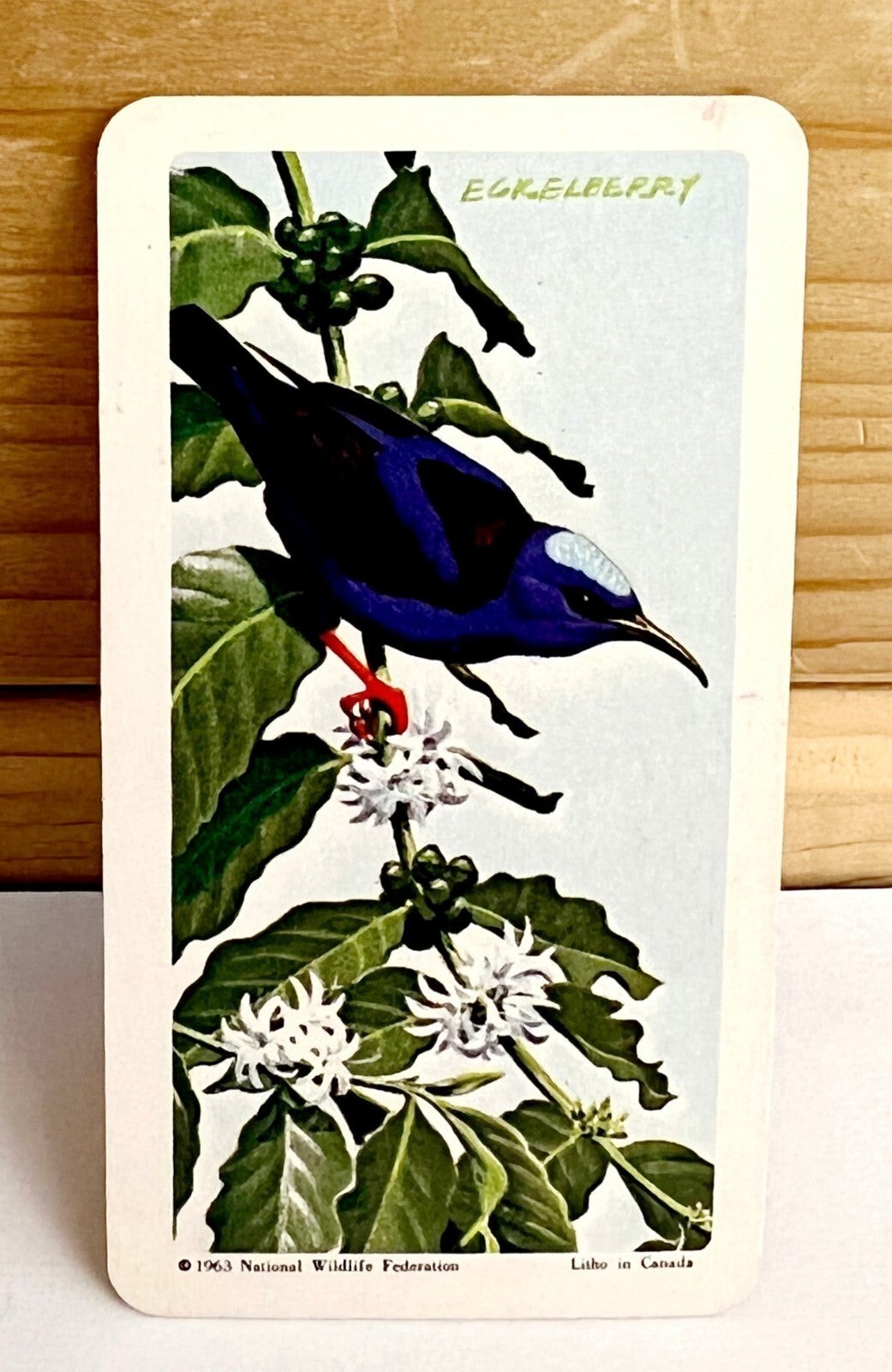 Vintage Tropical Bird Trading Card Honeycreeper 1963 S6N40 Brooke Bond T... - $19.99