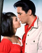 Kissin&#39; Cousins 1964 Elvis Presley about to kiss Yvonne Craig 8x10 inch photo - £8.49 GBP