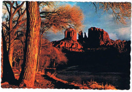 Arizona Postcard Red Rock Crossing Oak Creek Canyon - £1.66 GBP