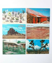 6 Cactus Southwest Desert Chili Peppers Postcards Unused - £12.10 GBP