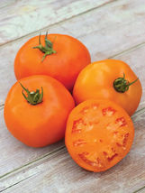 50 Seeds Orange Slice Tomato Vegetable Garden - £7.64 GBP