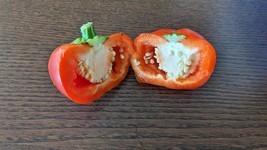 SEED- Hot Pepper European Heirloom. Hungarian Tomato Pepper -Eastern European - £5.39 GBP+