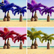 20  pcs Japan Blue Bottle Palm Plants Multi-Color Exotic Plants Tree Balcony Bon - £5.49 GBP