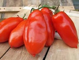 Tomato, SAN MARZANO, Heirloom, 500 Seeds, Tomato Seeds, Classic Tomato - £7.98 GBP