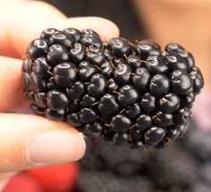 3pc Big Daddy Blackberry 4 to 6 inch Live Starter Plant Thornless Blackb... - $35.99