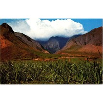Vintage Hawaii Chrome Postcard, Road to Lahaina Maui Ukumehame Canyon Sugar Cane - £6.99 GBP