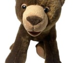 Kohls Cares Brown Bear What Do You See First Edition 2008 12 in Eric Car... - $10.54