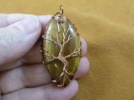 (j472-87) Brown Tiger&#39;s eye Tree of Life oval gemstone wrapped wired pendant - £19.42 GBP