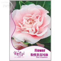 Pink Camellia Impatiens Seeds, Original Pack, 25 seeds, high ornamental value fl - £2.78 GBP