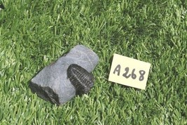 Item image 13