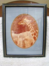 Matted and Framed Photo of Giraffe by Edison E. Edison, Collectible Wall Decor - £10.14 GBP