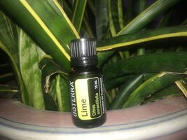 doTERRA Lime 15 mL Essential Oil  NEW &amp; SEALED Exp 02/30 - $16.99