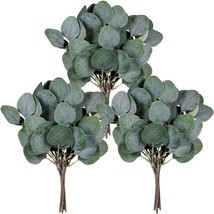 Eucalyptus Plant Branches In 18 Pieces, Bulk, For Floral Arrangements, - £28.76 GBP