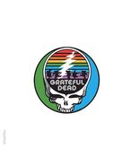 Grateful Dead  SYF Spectrum  3 inch  Mylar  Sticker    Deadhead Decal - $78.69 MXN