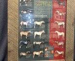American Paint Horse Association - VINTAGE AD - The Colors Of The Americ... - £19.47 GBP