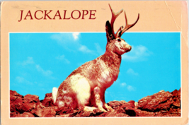 Postcard Wild Jackalope Myth Jack Rabbit/Antelope Sings At Night 6 x 4 Inss. - £3.89 GBP